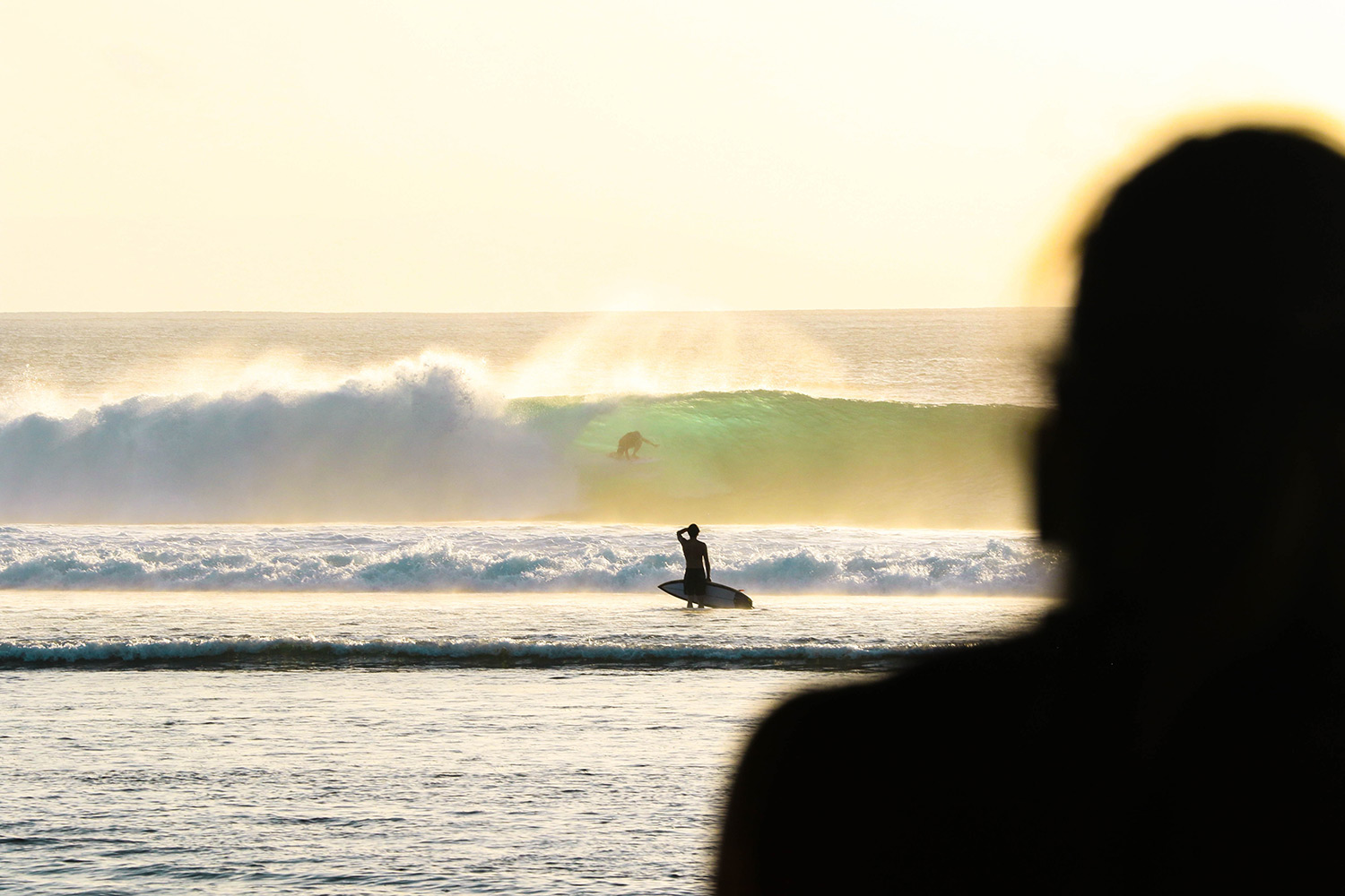 Surf Report
